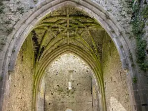 Hore Abbey