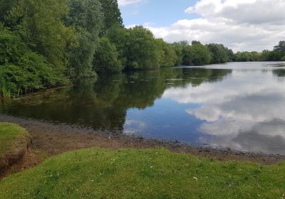 Emberton Country Park