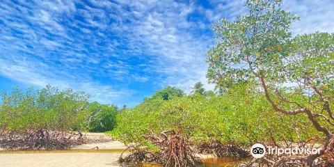 Quinta Praia (Praia do Encanto)