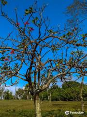 Parque Central Santo André