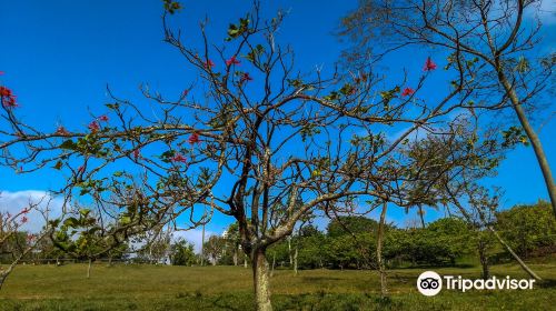 Parque Central Santo André