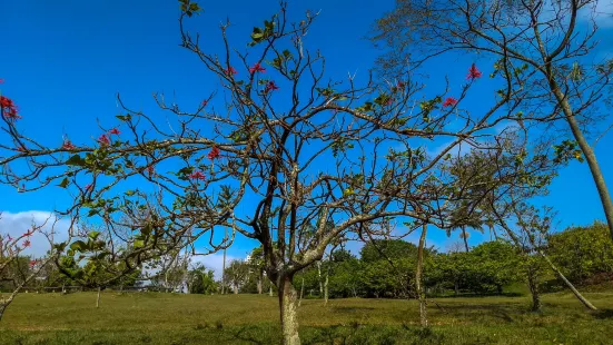 Parque Central Santo Andre