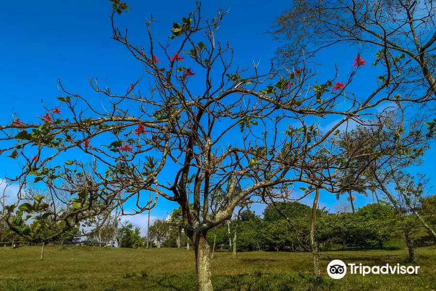 Parque Central Santo Andre