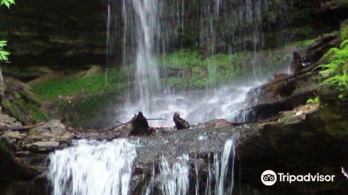 Horseshoe Falls