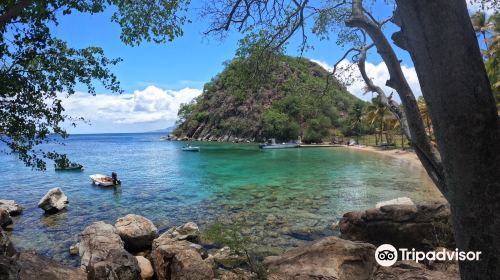 Sugarloaf Beach