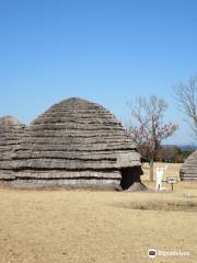 Uehara Jomon Forest