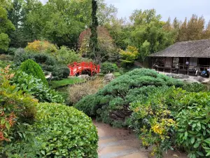 Сад жапоне Пьер-Боди
