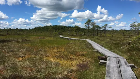 Torronsuo National Park