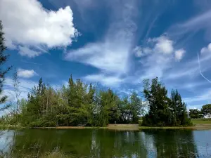 Amelia Earhart Park
