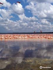 Celestun Wildlife Refuge