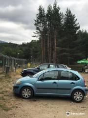 BEAR SANCTUARY Belitsa