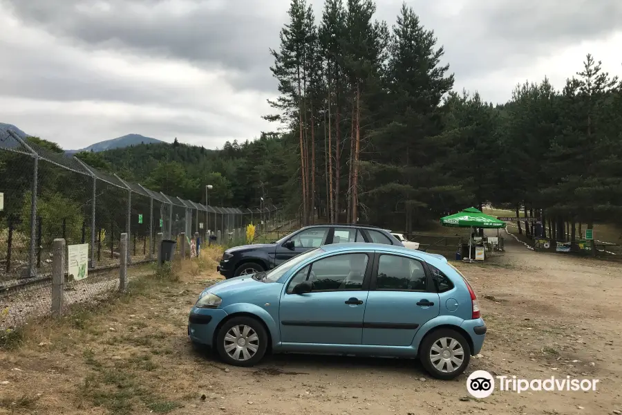 ПАРК ЗА МЕЧКИ Белица/ BEAR SANCTUARY Belitsa