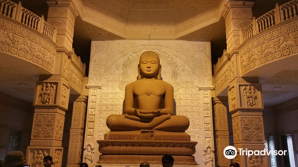 Shree Digambar Jain Gyaanoday Teerth Kshetra, Nareli,
