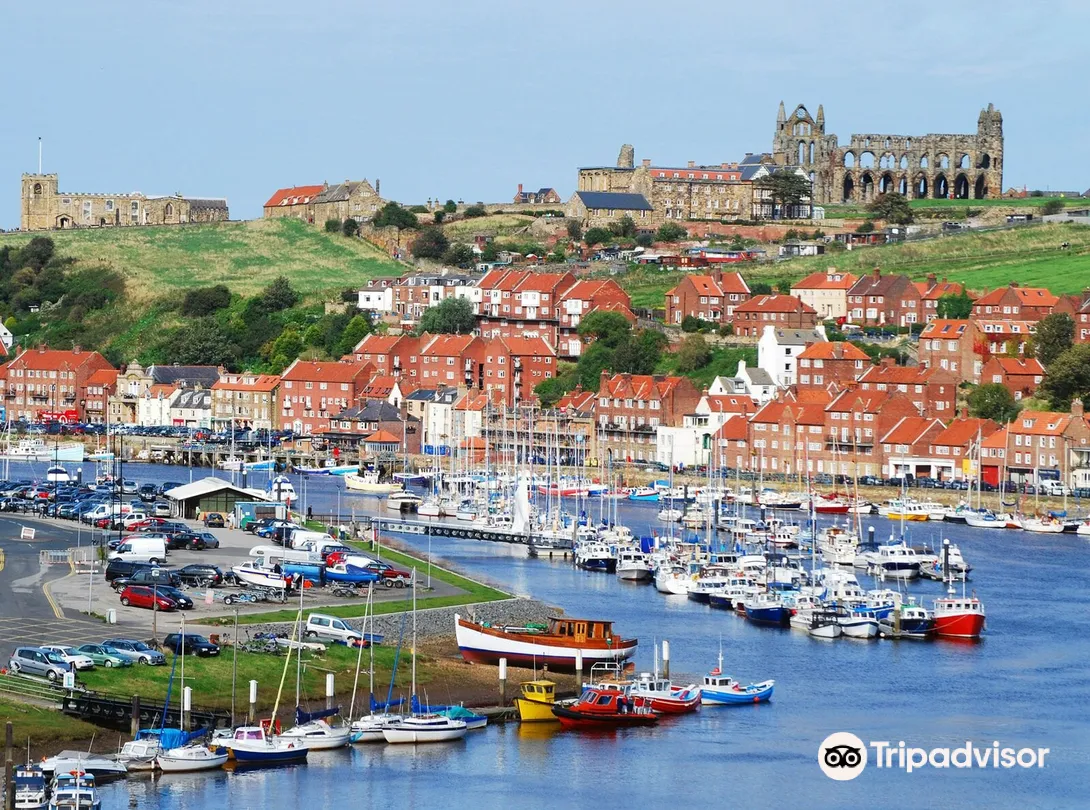 5_Whitby Harbour
