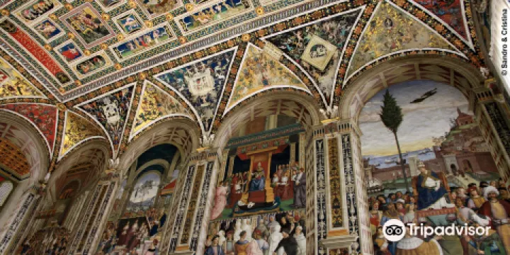 皮科羅米尼家族圖書館