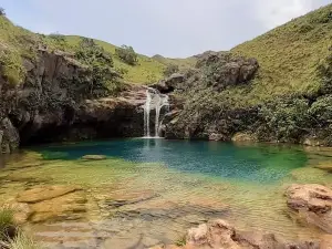 Reserva Forestal La Yeguada