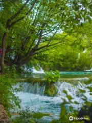 Plitvice Lakes by Boat&Bus from Island Krk