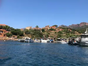 Corsica Marittima - Promenade en mer Sagone / Cargèse