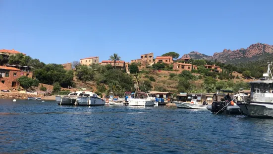 Corsica Marittima - Promenade en mer Sagone / Cargèse