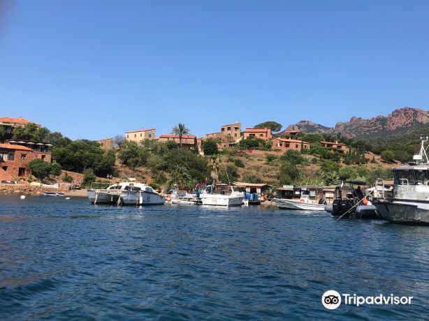 Corsica Marittima - Promenade en mer Sagone / Cargèse