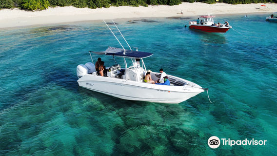 Pirate Snorkeling Shack