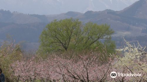 千曲川ふれあい公園