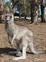 Phillip Island Wildlife Park