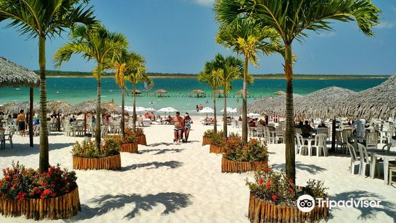 Paradise Lagoon