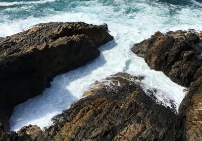 Mutton Bird Island Lookout