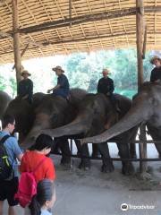 タイ・象の保護センター ラムパーン県森林機構