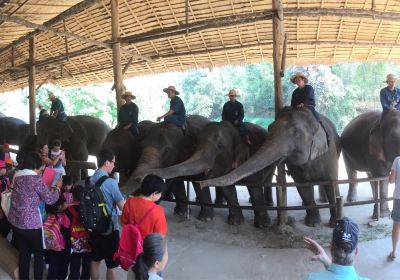 สถาบันคชบาลแห่งชาติ ในพระอุปถัมภ์ฯ (ศูนย์อนุรักษ์ช้างไทย)