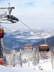 Czarny Groń Ski Station