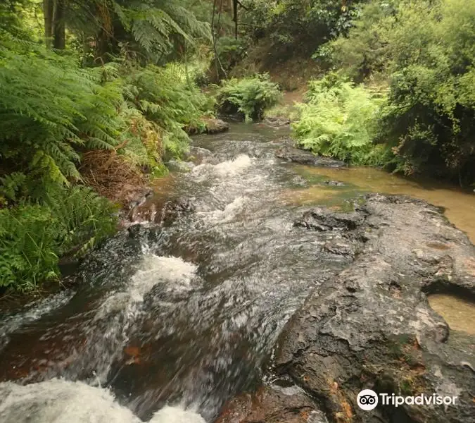 Kerosene Creek