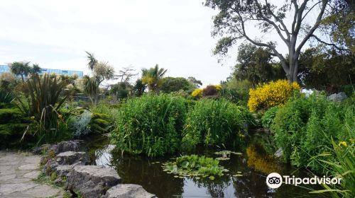 Southsea Rock Gardens