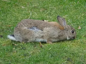 Kinderboerderij de Naturij