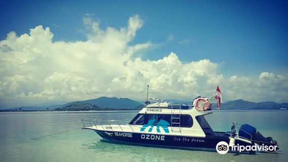Adventure Divers Lombok, Kuta
