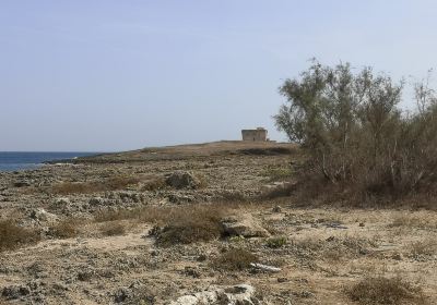 Torre Guaceto Meeresschutzgebiet