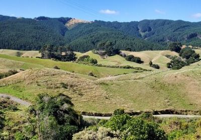 Paekakariki Hill
