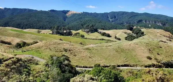 Hotels in Paekakariki Hill