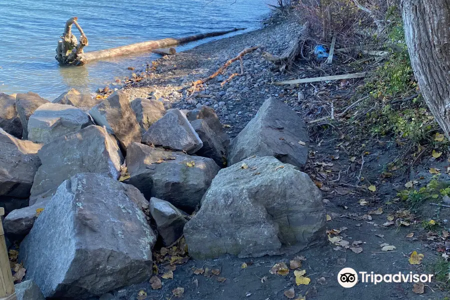 Lake Erie Bluffs