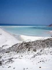 Socotra Island