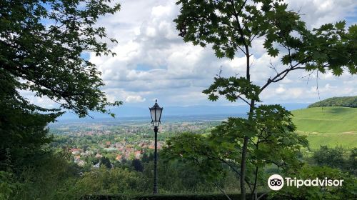 Kur- und Schlosspark Badenweiler