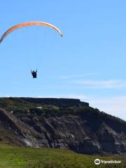 Butterfly Paragliding