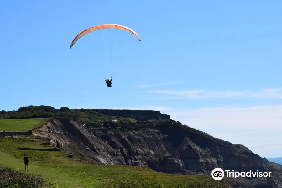 Butterfly Paragliding