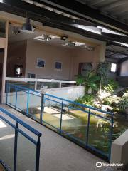 Aquarium des Tropiques