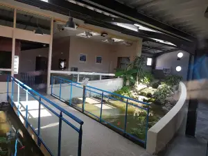 Aquarium des Tropiques