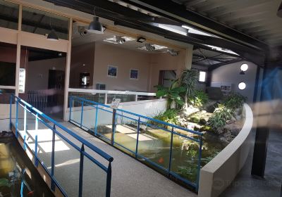 Aquarium des Tropiques