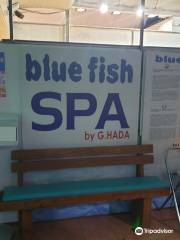 Blue Fish Spa