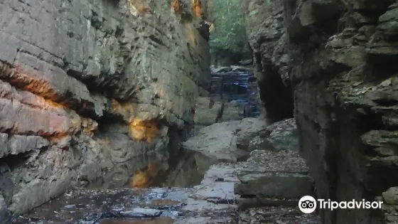 Cascata das Virgens