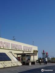 Kochi Ryoma Airport Deck